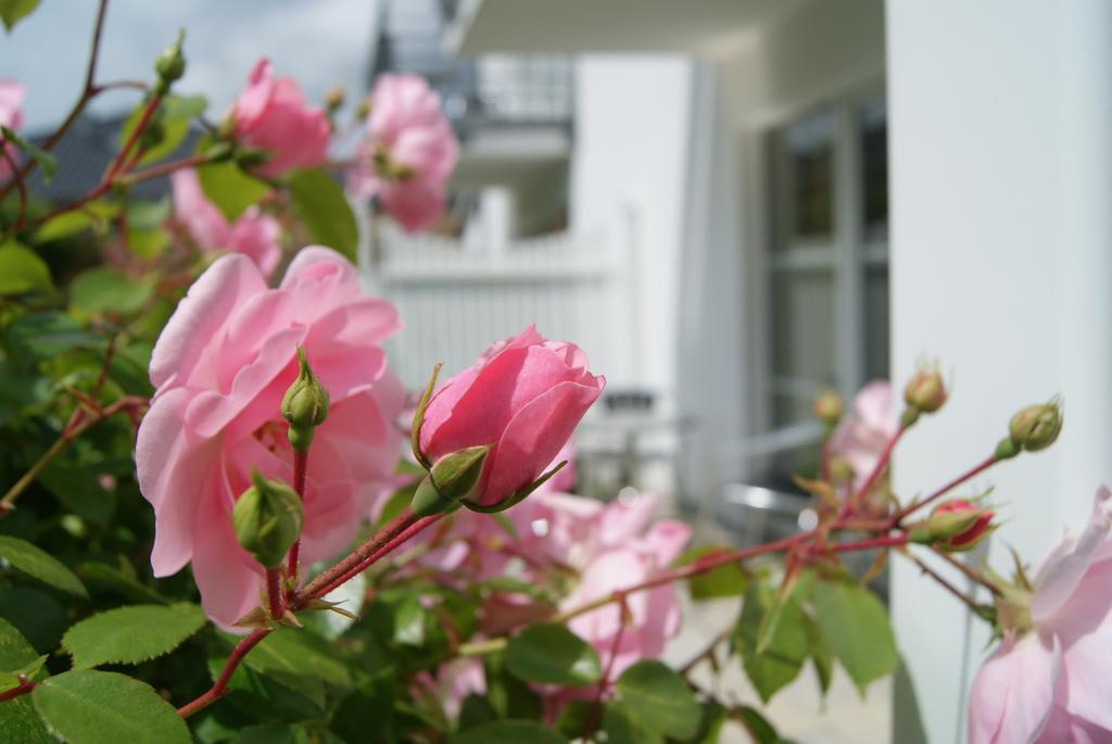 Ferienwohnungen im Haus Katharina Lauterbach  Exterior foto