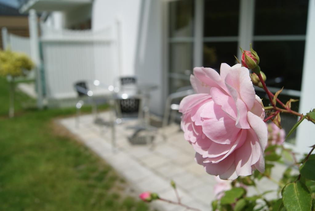 Ferienwohnungen im Haus Katharina Lauterbach  Exterior foto